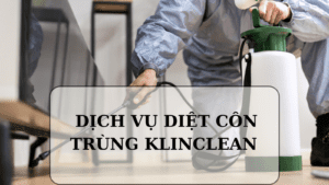 dịch vụ diệt côn trùng