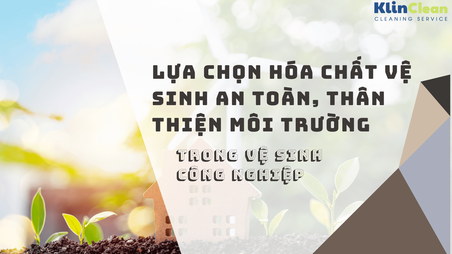 Hóa chất vệ sinh